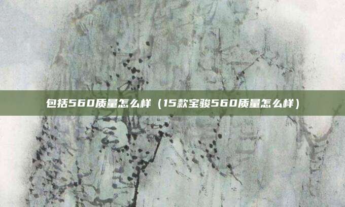 包括560质量怎么样(15款宝骏560质量怎么样)