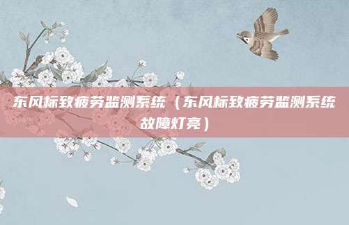 东风标致疲劳监测系统(东风标致疲劳监测系统故障灯亮)