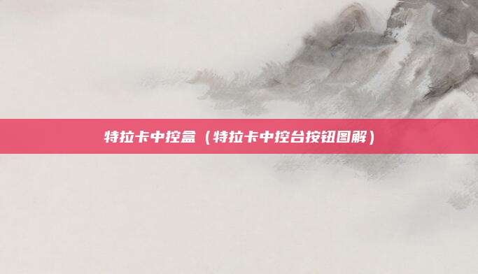 特拉卡中控盒(特拉卡中控台按钮图解)