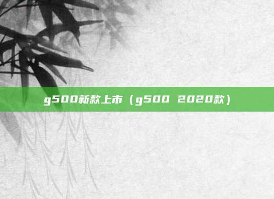 g500新款上市(g500 2020款)