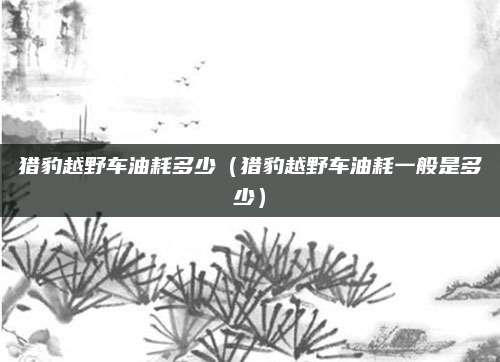 猎豹越野车油耗多少(猎豹越野车油耗一般是多少)