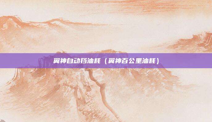 翼神自动挡油耗(翼神百公里油耗)
