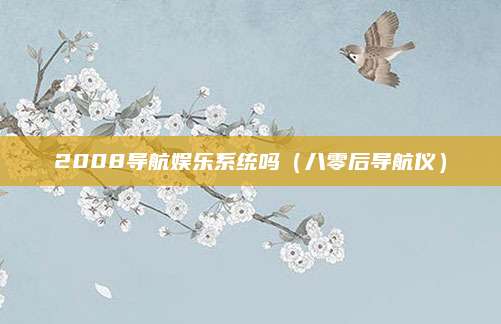 2008导航娱乐系统吗(八零后导航仪)