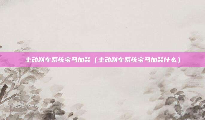 主动刹车系统宝马加装(主动刹车系统宝马加装什么)