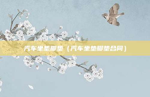 汽车坐垫脚垫(汽车坐垫脚垫合同)