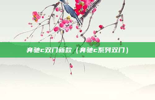 奔驰c双门新款（奔驰c系列双门）