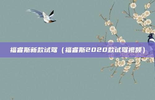 福睿斯新款试驾(福睿斯2020款试驾视频)