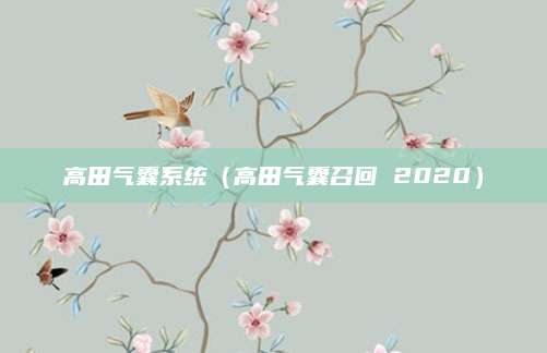 高田气囊系统(高田气囊召回 2020)