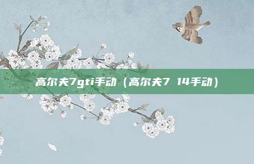 高尔夫7gti手动(高尔夫7 14手动)