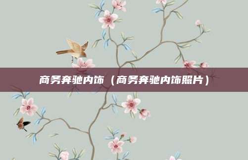 商务奔驰内饰(商务奔驰内饰照片)