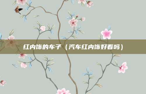 红内饰的车子(汽车红内饰好看吗)