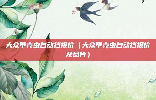 大众甲壳虫自动挡报价(大众甲壳虫自动挡报价及图片)