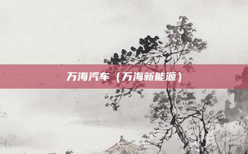 万海汽车(万海新能源)