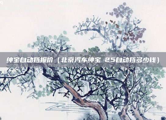 绅宝自动挡报价(北京汽车绅宝ⅹ25自动挡多少钱)