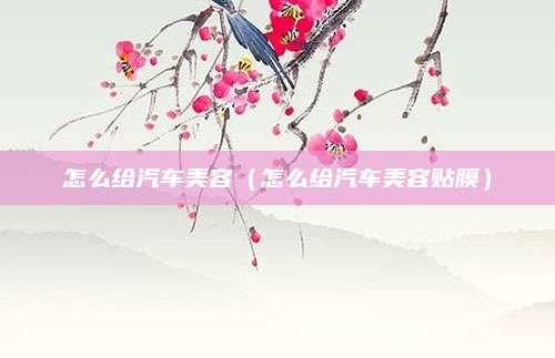 怎么给汽车美容(怎么给汽车美容贴膜)
