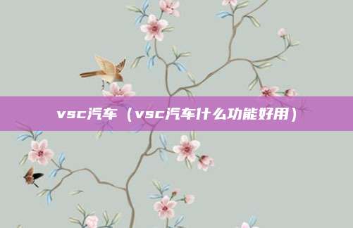 vsc汽车(vsc汽车什么功能好用)
