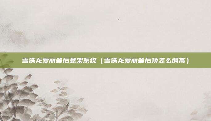 雪铁龙爱丽舍后悬架系统(雪铁龙爱丽舍后桥怎么调高)