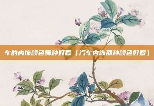 车的内饰颜色哪种好看(汽车内饰那种颜色好看)