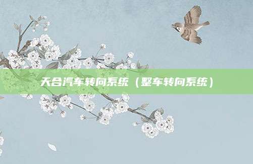 天合汽车转向系统(整车转向系统)