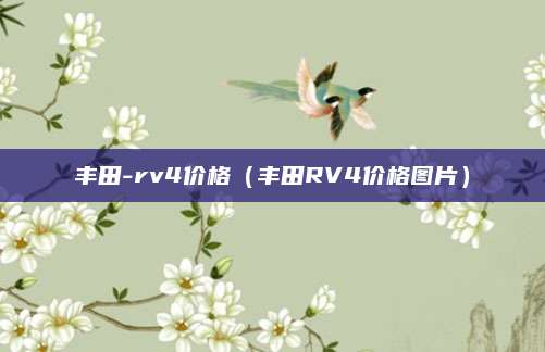 丰田-rv4价格(丰田RV4价格图片)