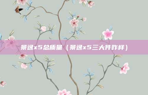 景逸x5总质量(景逸x5三大件咋样)