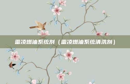 雷凌燃油系统剂(雷凌燃油系统清洗剂)