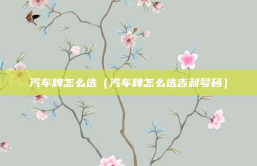 汽车牌怎么选(汽车牌怎么选吉利号码)