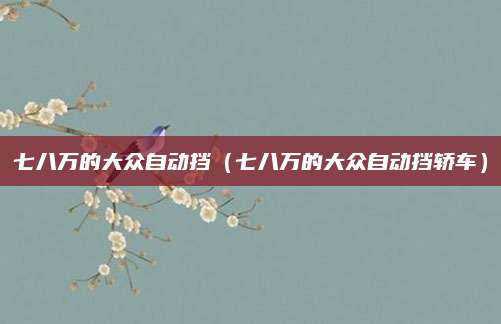 七八万的大众自动挡(七八万的大众自动挡轿车)