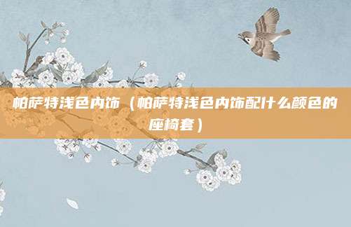 帕萨特浅色内饰(帕萨特浅色内饰配什么颜色的座椅套)