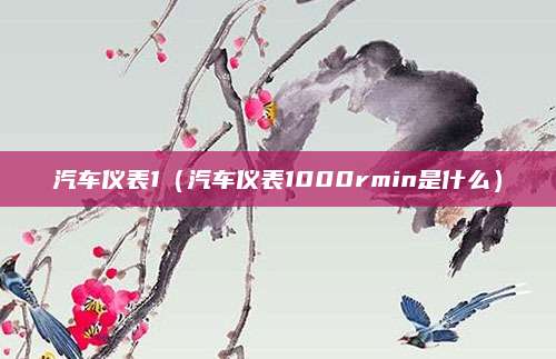 汽车仪表1(汽车仪表1000rmin是什么)