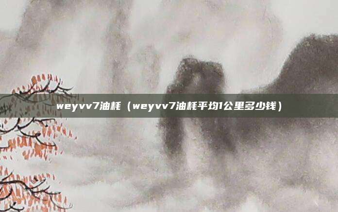 weyvv7油耗(weyvv7油耗平均1公里多少钱)