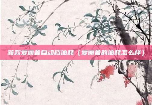 新款爱丽舍自动档油耗(爱丽舍的油耗怎么样)