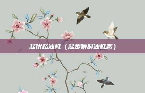 起伏路油耗(起步瞬时油耗高)