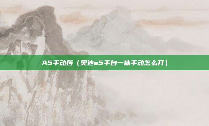 A5手动挡(奥迪a5手自一体手动怎么开)