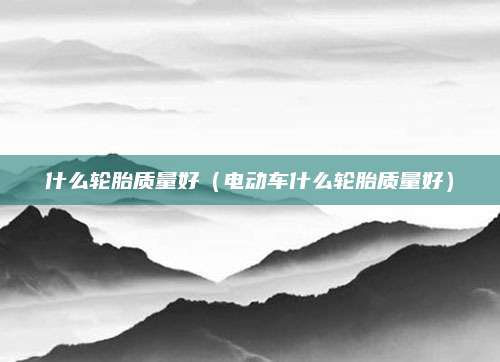 什么轮胎质量好(电动车什么轮胎质量好)