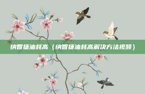 纳智捷油耗高(纳智捷油耗高解决方法视频)