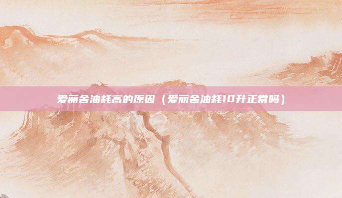 爱丽舍油耗高的原因(爱丽舍油耗10升正常吗)
