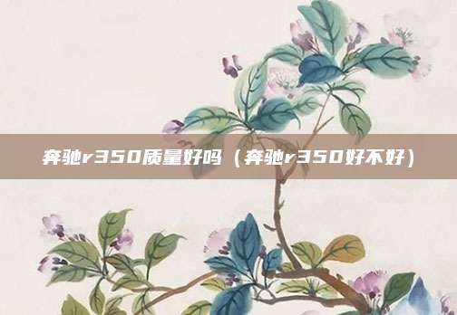 奔驰r350质量好吗(奔驰r350好不好)