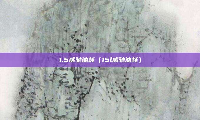 1.5威驰油耗(15l威驰油耗)