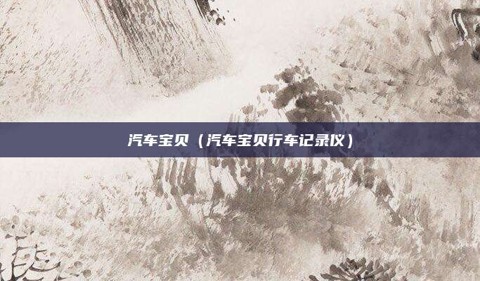 汽车宝贝(汽车宝贝行车记录仪)
