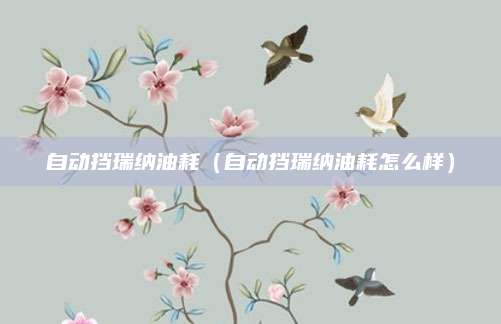 自动挡瑞纳油耗(自动挡瑞纳油耗怎么样)