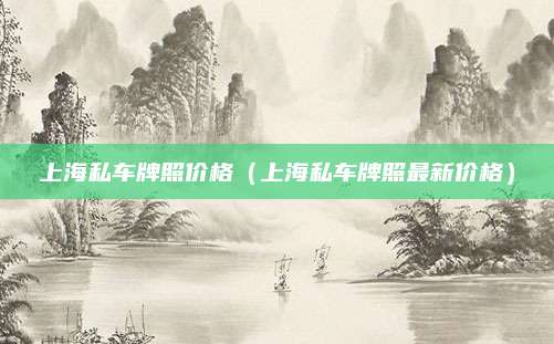 上海私车牌照价格(上海私车牌照最新价格)