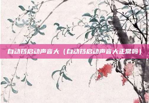 自动挡启动声音大(自动挡启动声音大正常吗)