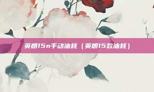 英朗15n手动油耗(英朗15款油耗)