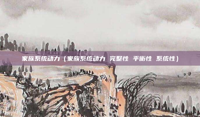 家族系统动力(家族系统动力 完整性 平衡性 系统性)