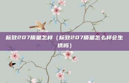 标致207质量怎样(标致207质量怎么样会生锈吗)