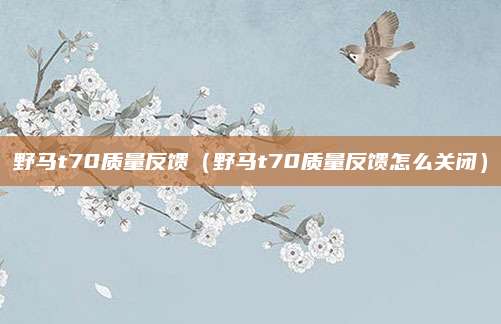 野马t70质量反馈(野马t70质量反馈怎么关闭)