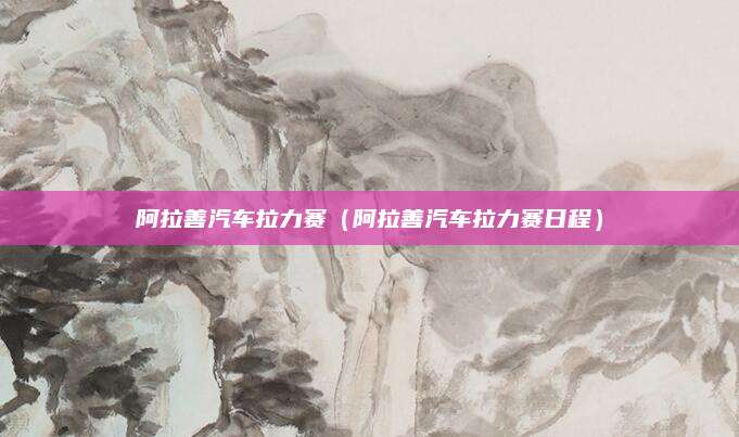 阿拉善汽车拉力赛(阿拉善汽车拉力赛日程)