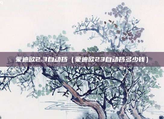 蒙迪欧2.3自动挡(蒙迪欧23自动挡多少钱)