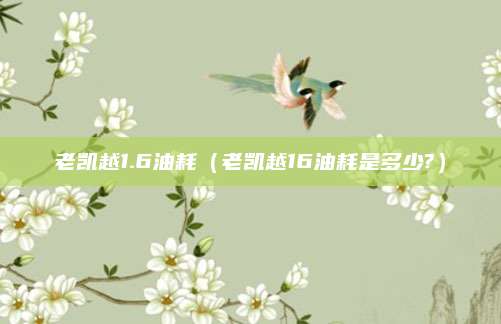 老凯越1.6油耗(老凯越16油耗是多少?)